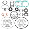 Complete gasket set with oil seal WINDEROSA PWC 611200