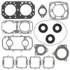 Complete gasket set with oil seal WINDEROSA PWC 611402
