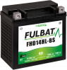 Gel-Batterie FULBAT FHD14HL-BS GEL (Harley.D) (YHD14HL-BS GEL)