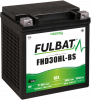 Gel-Batterie FULBAT FHD30HL-BS GEL (Harley.D) (YHD30HL-BS GEL)